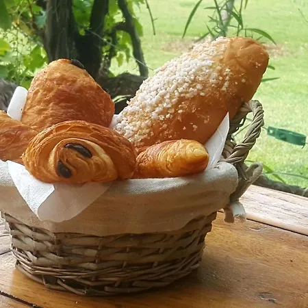 Mas Des Prevots Bed & Breakfast 3*